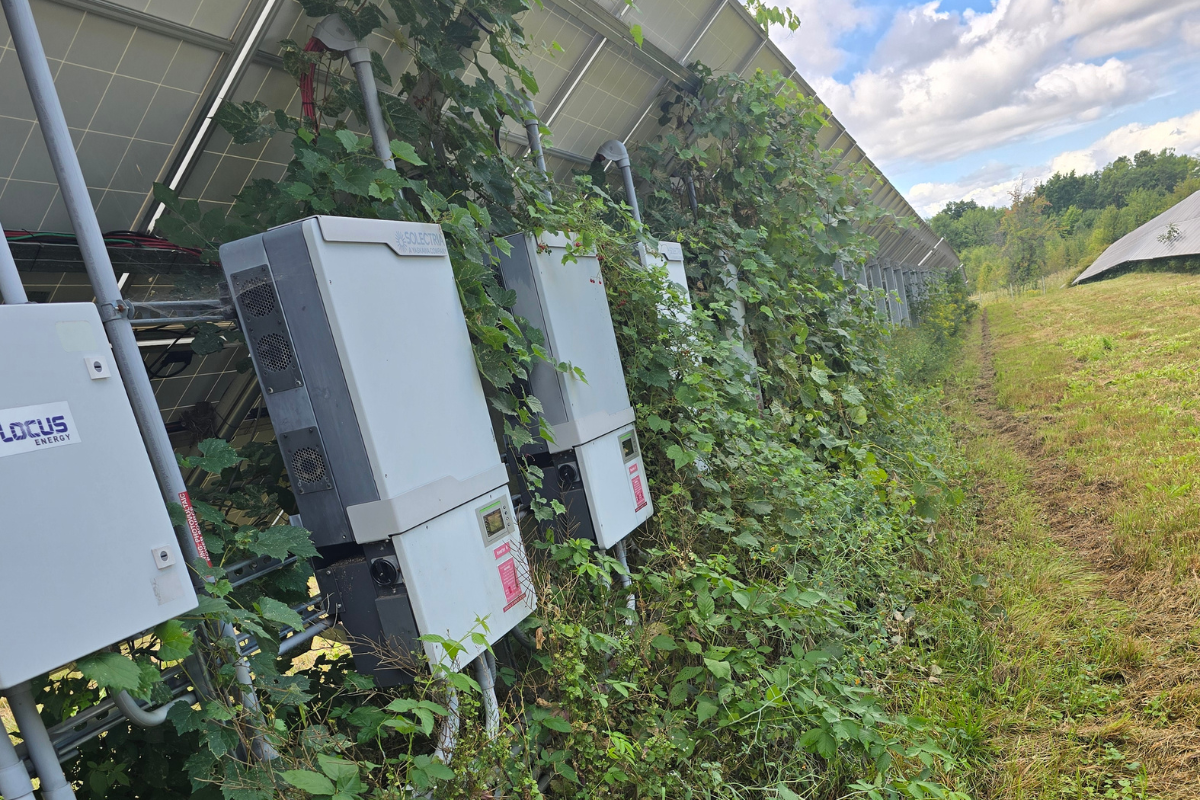 O&M project delivered by Legacy Power